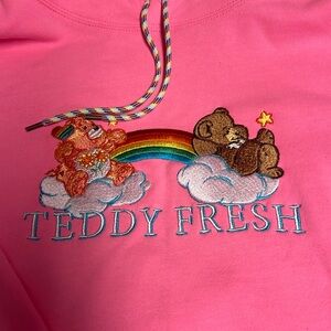 BNWOT Teddy Fresh x Care Bears Hoodie